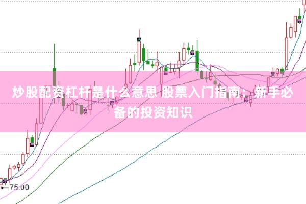 炒股配资杠杆是什么意思 股票入门指南：新手必备的投资知识