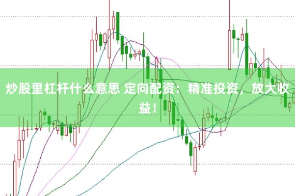 炒股里杠杆什么意思 定向配资：精准投资，放大收益！