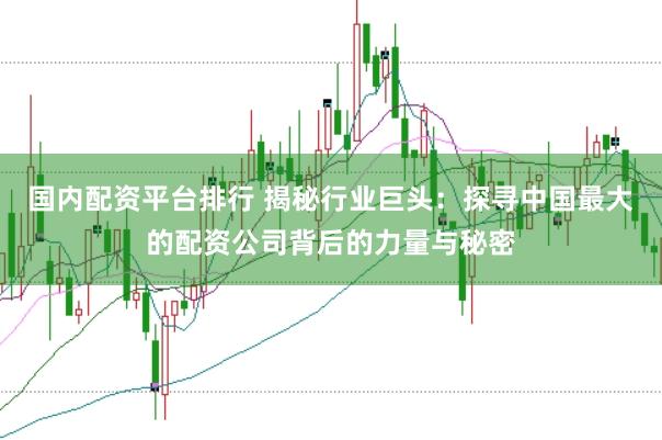 国内配资平台排行 揭秘行业巨头：探寻中国最大的配资公司背后的力量与秘密