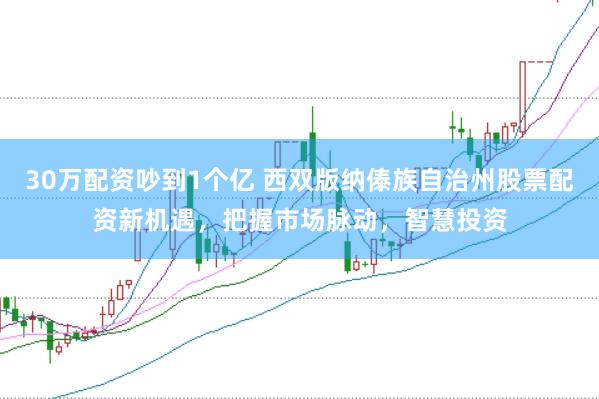 30万配资吵到1个亿 西双版纳傣族自治州股票配资新机遇，把握市场脉动，智慧投资