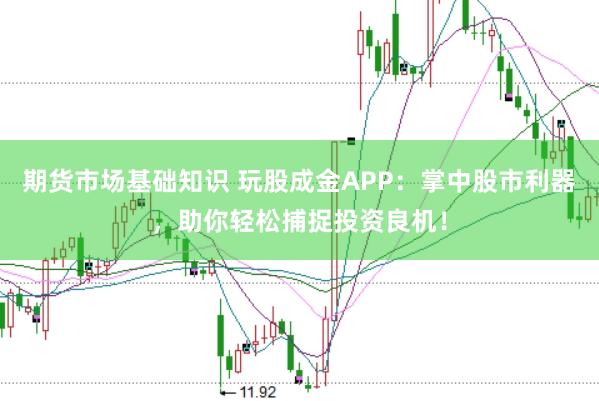 期货市场基础知识 玩股成金APP：掌中股市利器，助你轻松捕捉投资良机！